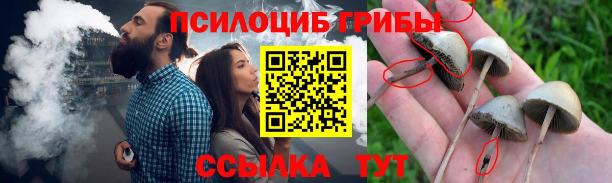 Галлюциногенные грибы мухоморы  Вход с VPN  Галлюциногенные грибы прущие грибы  Новороссийск 